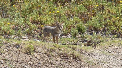 Agroturismo Estancia La Antonieta - Casa de Campo