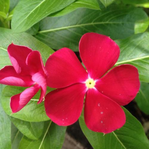 Million Dollar View In Gated Community