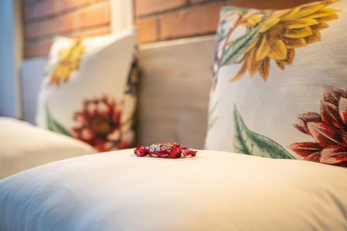 Apartamento M?ynarzowy Dworek