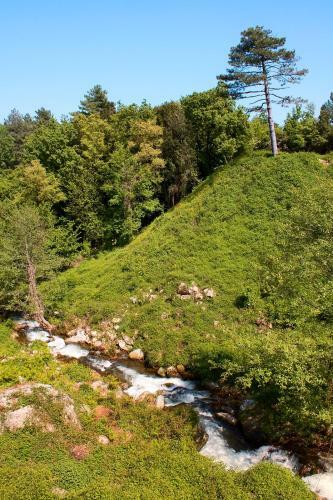Hotel H�tel - Pub Le Petit Bosquet