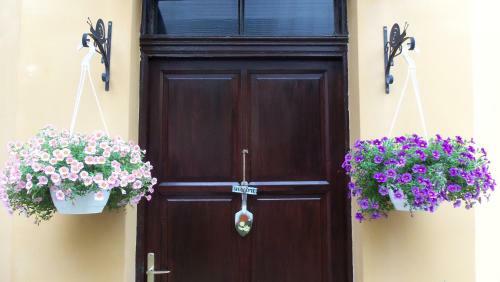 Hostal Caesar Panzi�