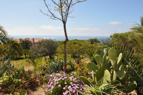 Bed & Breakfast Fiore Di Machja