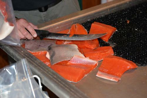 Salmon Catcher Lodge