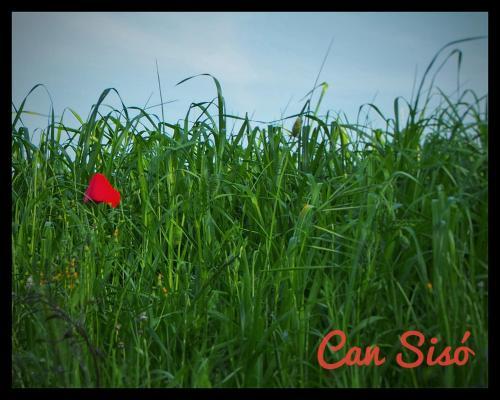 Agroturismo Can Sis�
