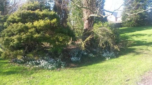 Bed & Breakfast Greenbank Farmhouse