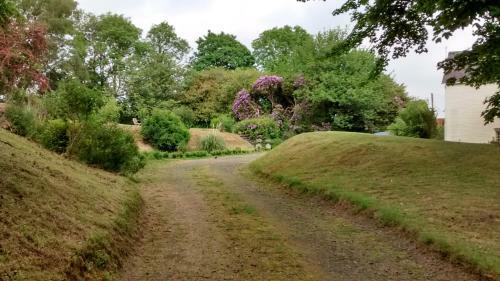 Bed And Breakfast Allt Y Rheini