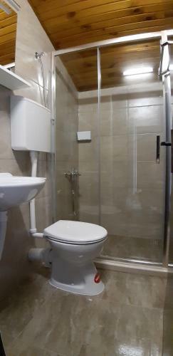 Hostal Guesthouse Budima