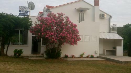 Hostal Guesthouse Budima