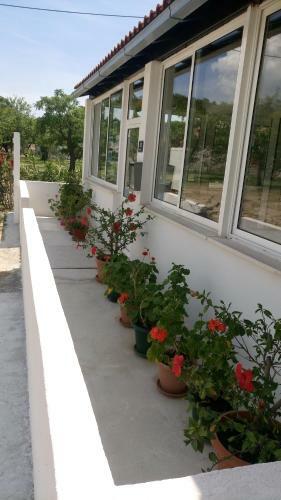 Hostal Guesthouse Budima