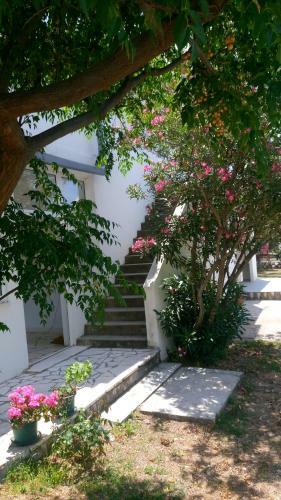 Hostal Guesthouse Budima