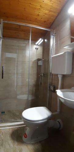 Hostal Guesthouse Budima