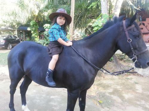 Agroturismo Chacara Santa Barbara