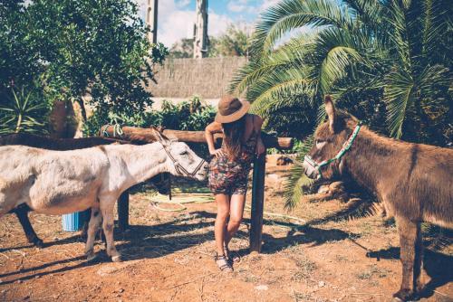 Agroturismo Finca Can Paulino