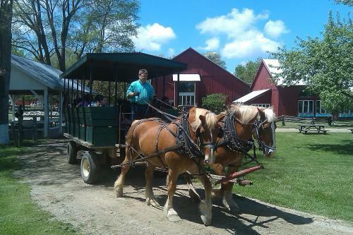 Hotel Amish Inn