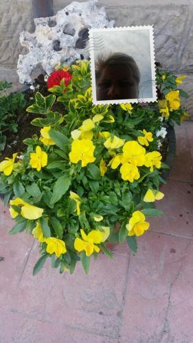 Agroturismo El Cuartelillo Viejo