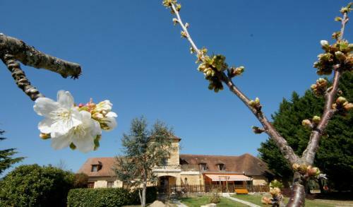 Hotel H�tel-restaurant Les Collines