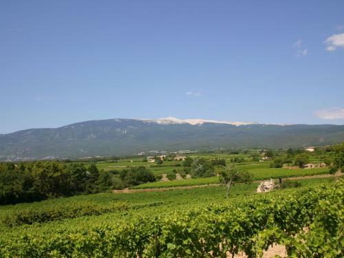 Holiday Home Entre Pins Et Vignes Rochegude