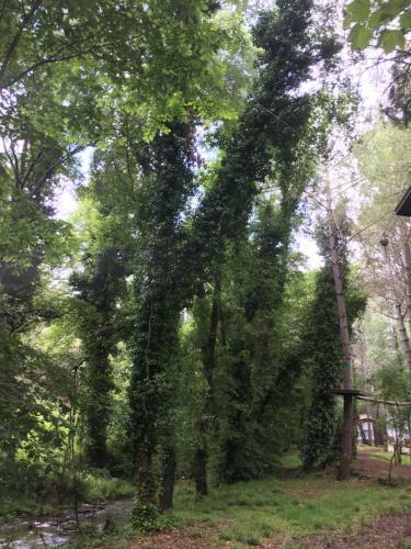 Agroturismo Casa Rural Nacimiento Del Hu�znar