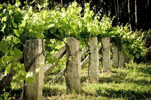 Agroturismo Casa Rural Entre Os R�os