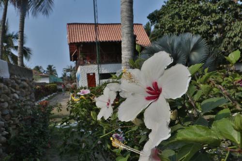 Agroturismo Caba�as Praba