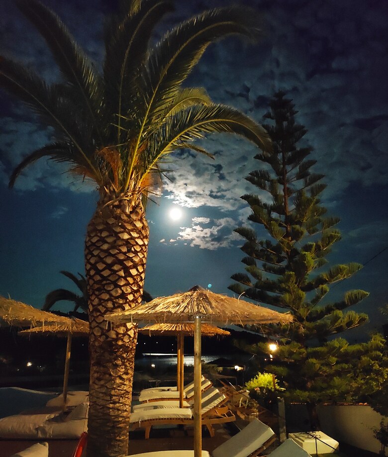 Hotel Panormos Beach