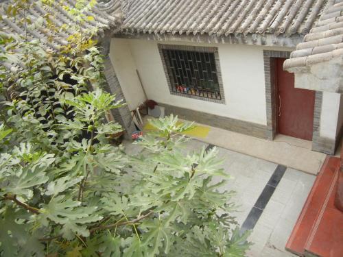 Hostal Terra-cotta Warriors Guesthouse