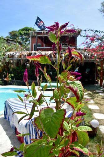 Hostal Pousada Canavial Beach-bar