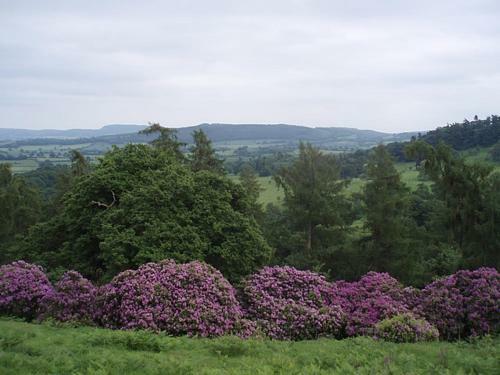 Agroturismo Lower Buckton Country House