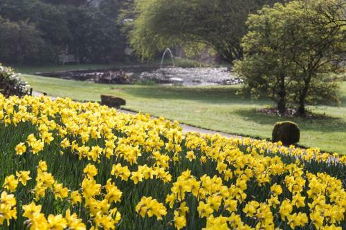 Agroturismo Gliffaes Country House Hotel