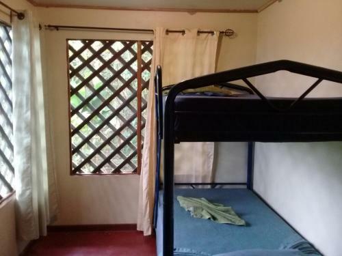 Bed & Breakfast Toucan And Tarpon