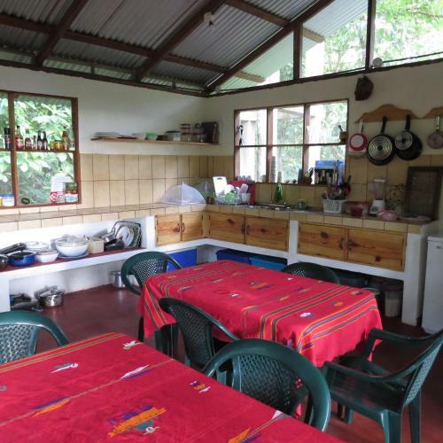 Bed & Breakfast Toucan And Tarpon