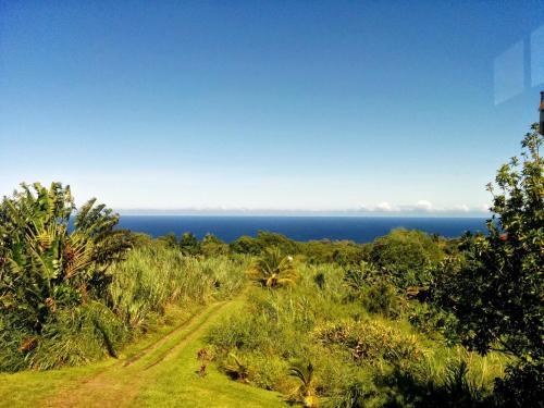 Hostal Hamakua House