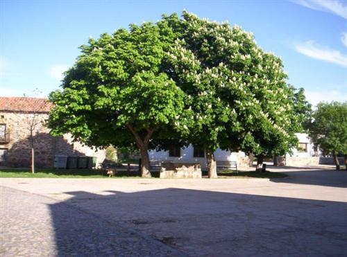 Agroturismo Casa Rural El Balc�n De Tera