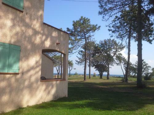 Pinea Mare