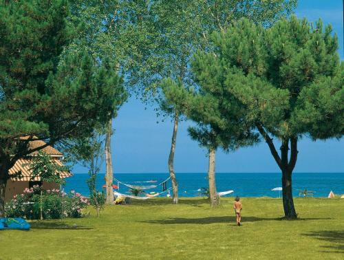 Pinea Mare