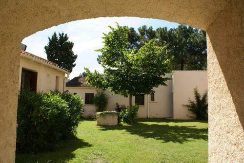 Pinea Mare