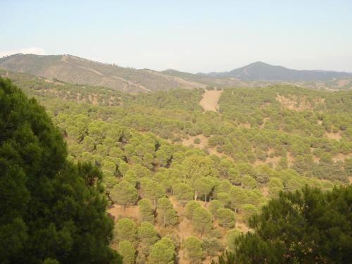 Agroturismo Cortijo Molino San Juan