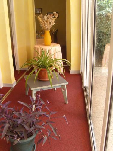 Hotel Des Fleurs