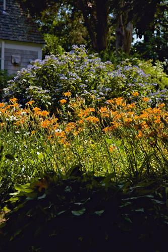 Bed & Breakfast Sea Meadow Inn