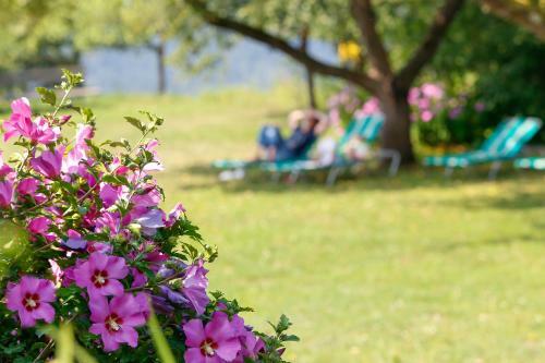 Gasthof-hotel H�henwirt