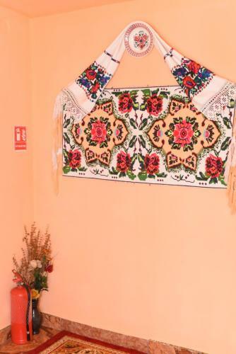 Hostal Pension Ioana Lavita
