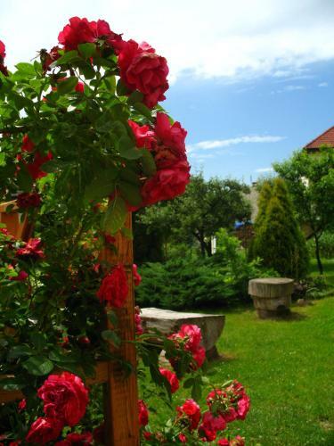 Hostal Pensjonat B&B Nad Rudaw?