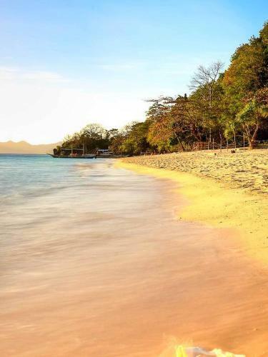 Hotel Lally And Abet Beach Cottages