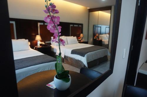 Hotel Perla Spondylus