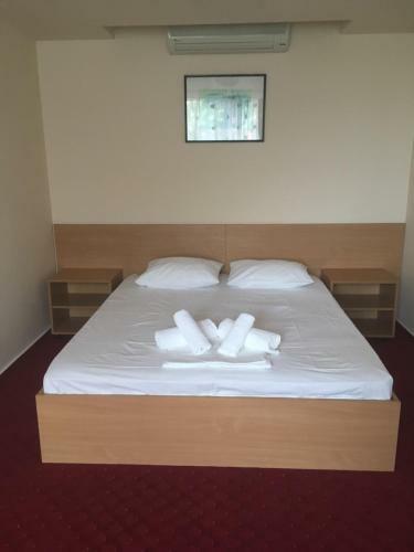 Hostal Casa Tineretului
