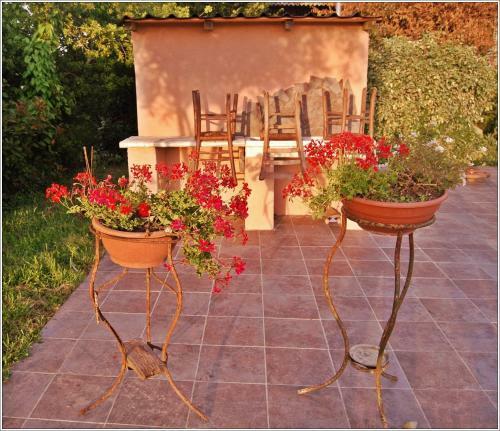 Bed & Breakfast Il Cantuccio