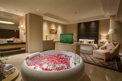 Classical Plaza Hotel