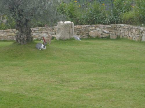 Agroturismo Casale Della Valle