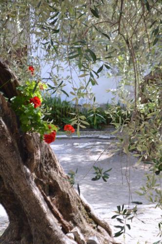 Apartamento Agriturismo C� Di Ughi