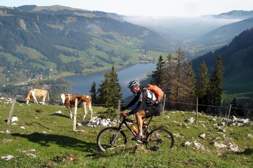 Hostellerie Am Schwarzsee